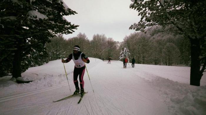 12191850_10208254030415702_2442578396868237732_n